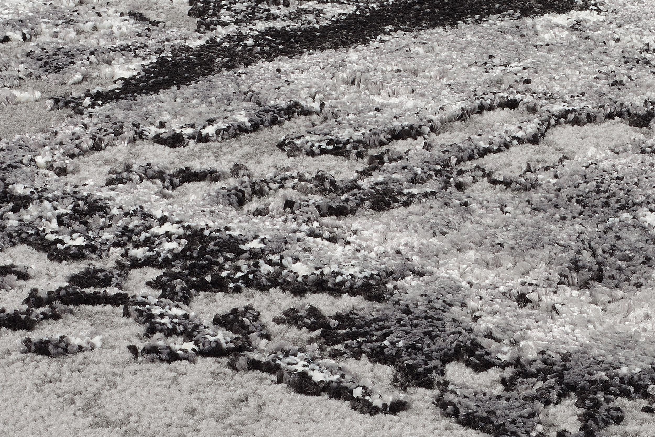 Wohnzimmer Teppich Expression Grau-Mix aus 75% Polypropylen, 25% Polyester, in der Farbe Grau-Mix | Homerugs - Detailsicht (8)