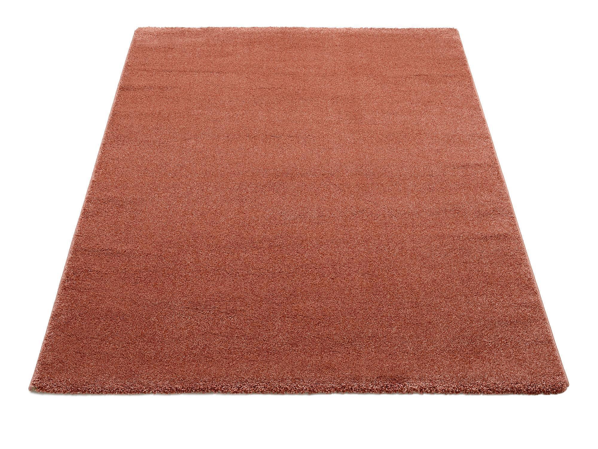 Teppich Negris 08 Rosenholz aus 100% Polypropylen, in der Farbe Rosenholz | Homerugs - Raumansicht