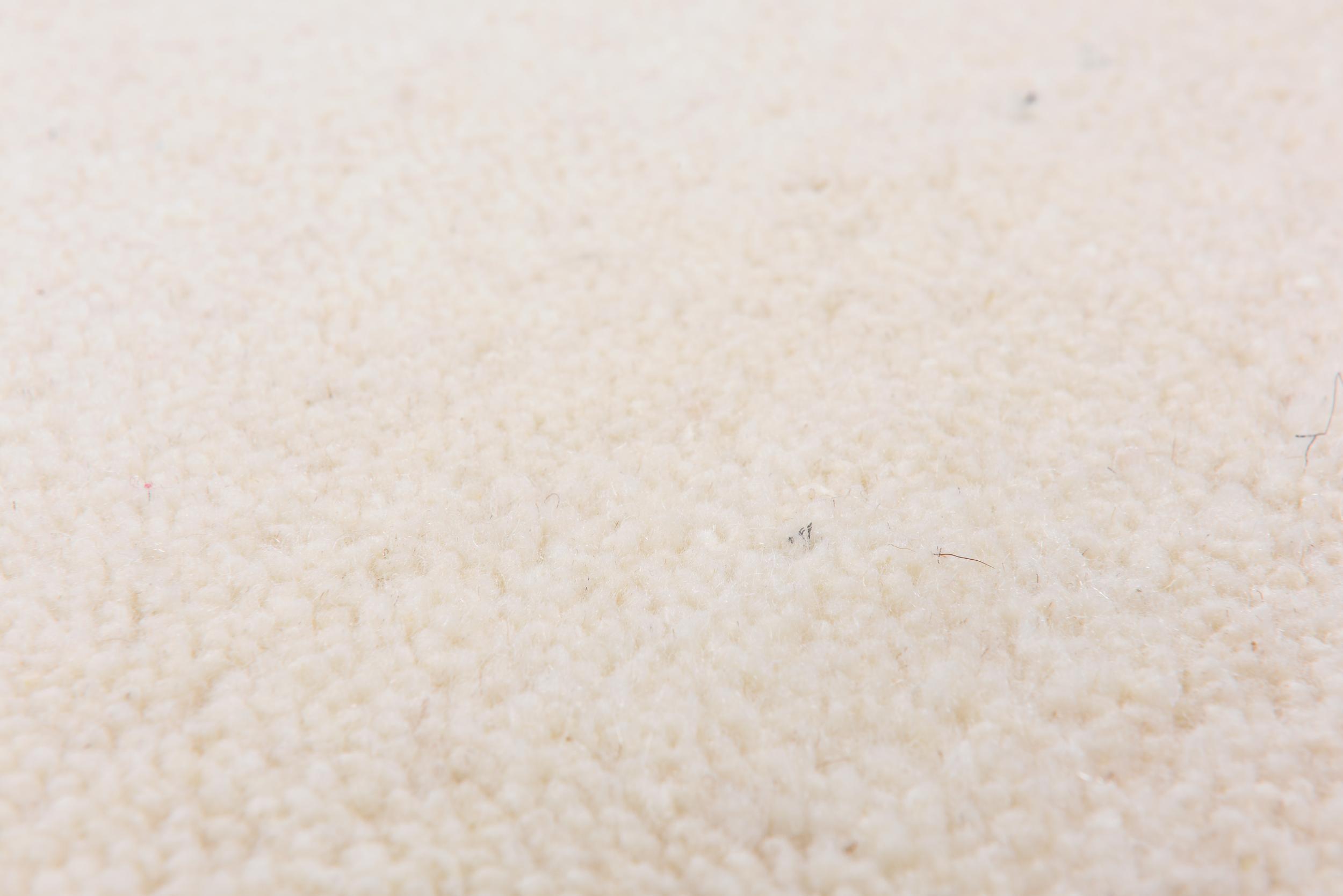 Wohnzimmer Teppich Maloronga Uni 997 Blanc aus 100% Schurwolle, in der Farbe Blanc | Homerugs - Draufsicht