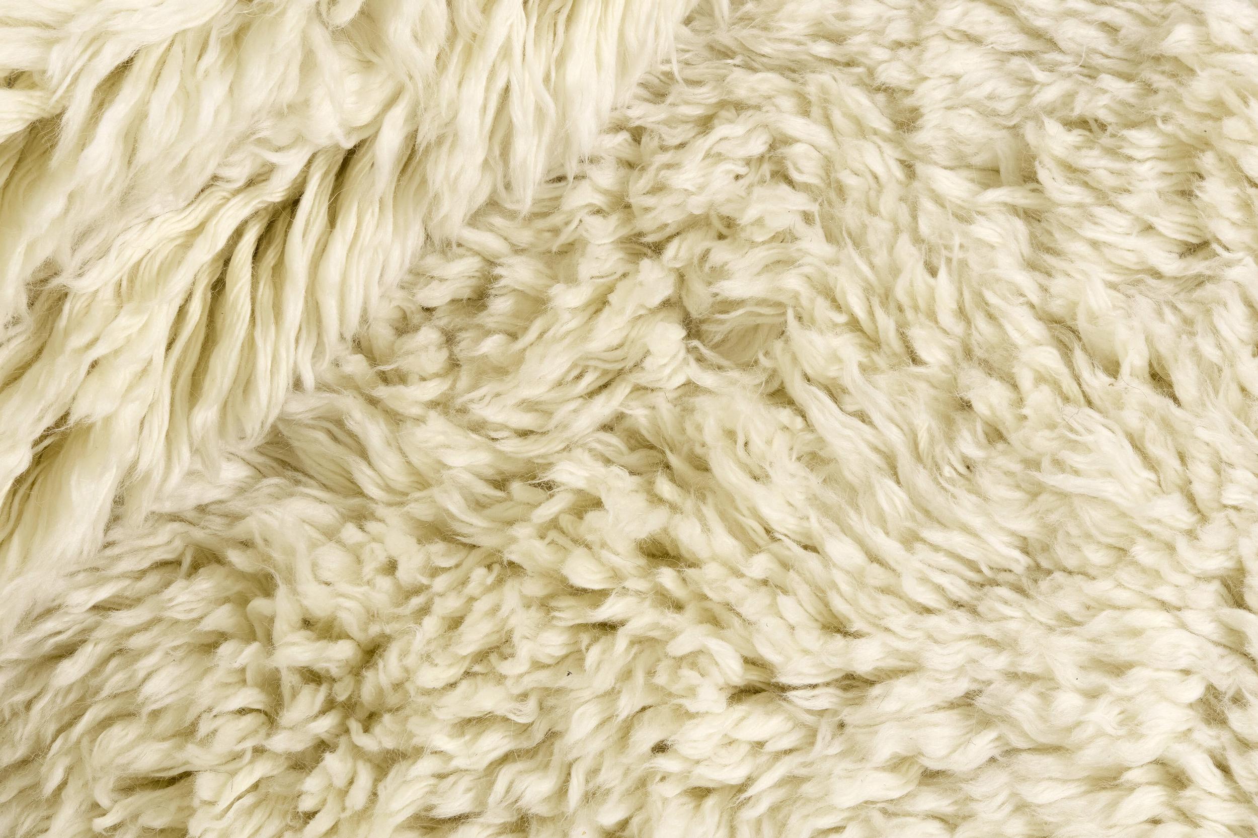 Teppich Snow White Plain, Ivory aus Wolle, in der Farbe Ivory | Homerugs - Raumansicht