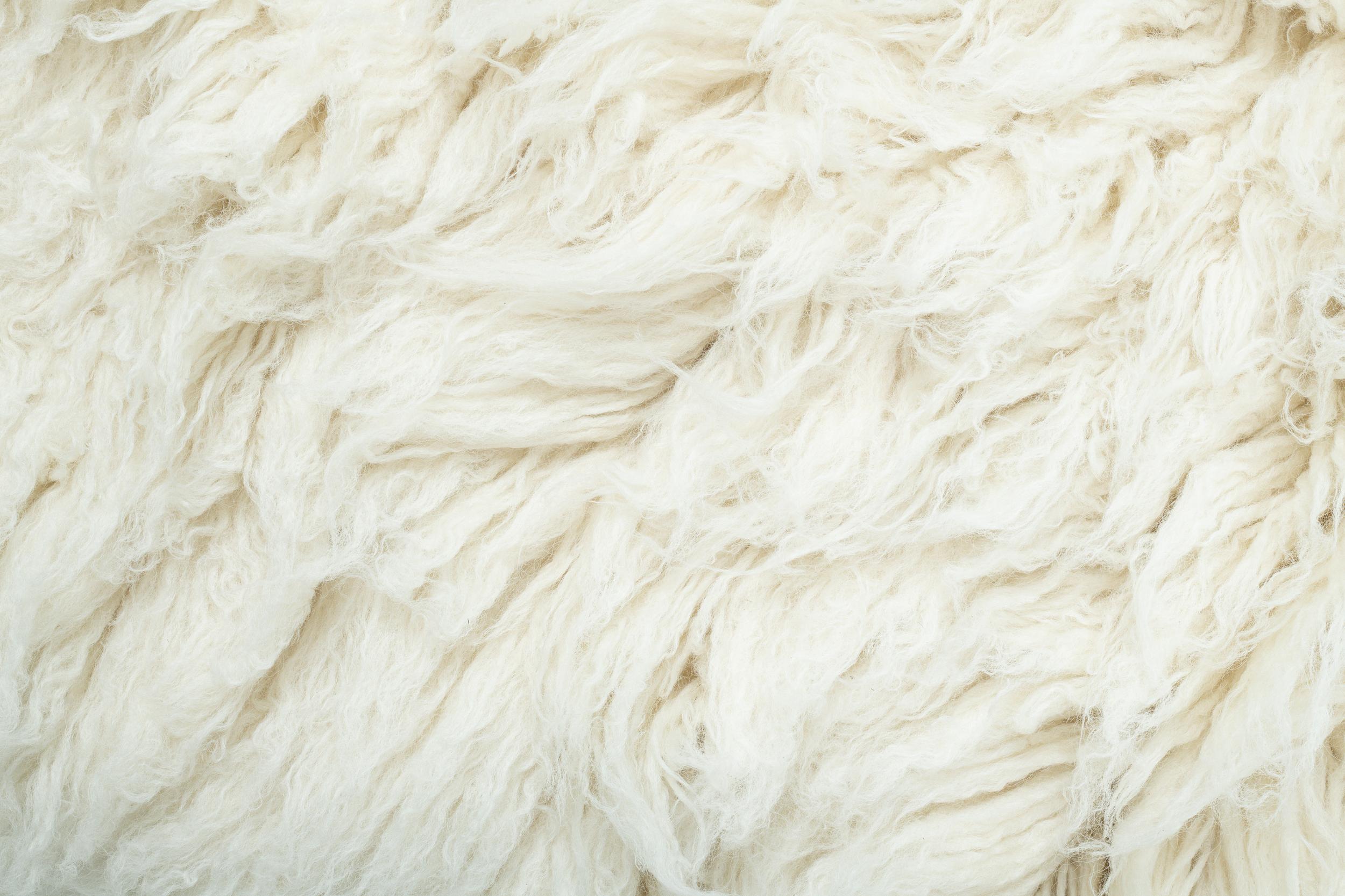 Wohnzimmer Teppich Flokos Xxl Uni 100 Natural aus 100% Schurwolle, in der Farbe Natural | Homerugs - Detailsicht (5)