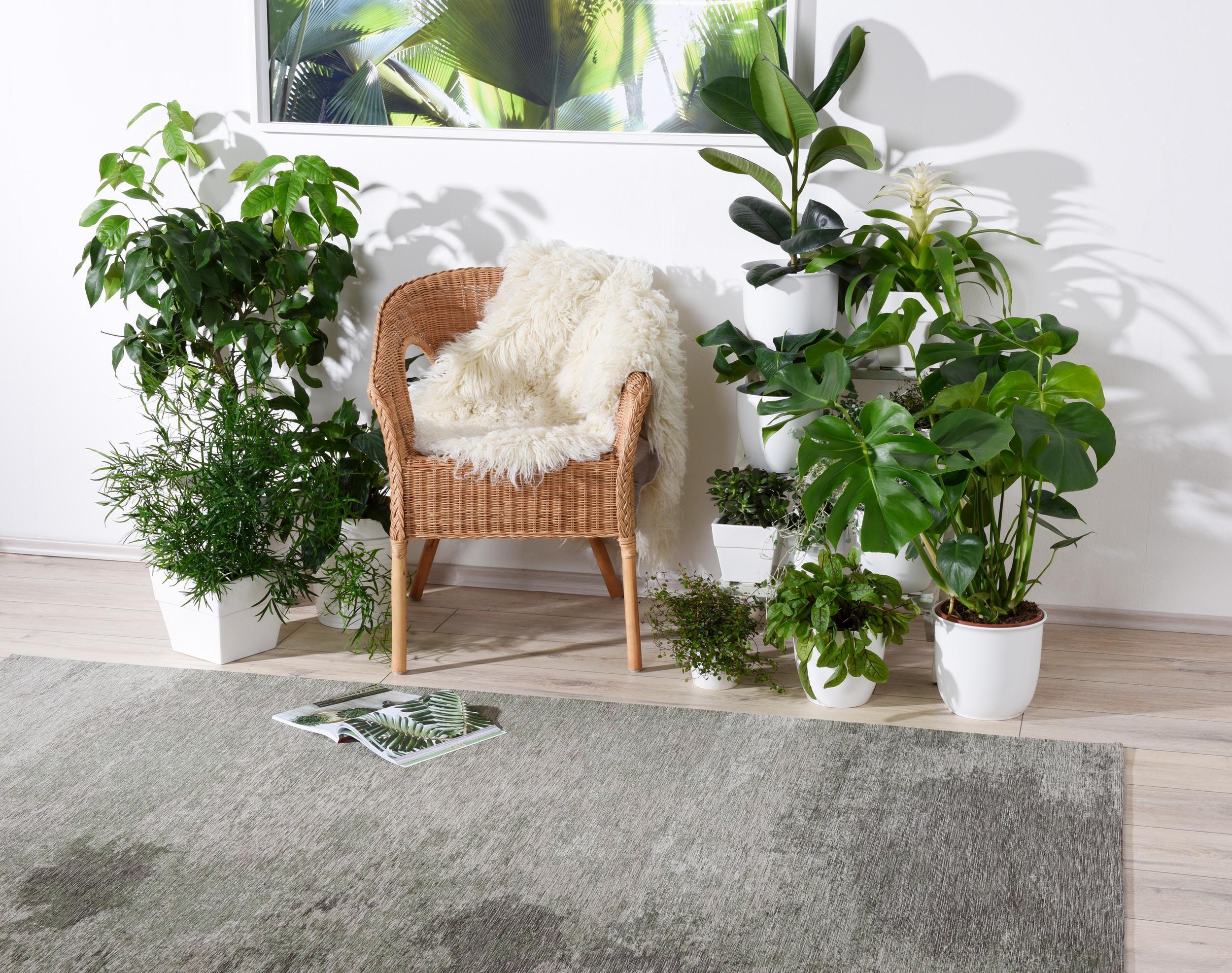 Wohnzimmer Teppich Heritage Cloud 307 Light/Green aus 30% Baumwolle, 34% Polyester, 36% Chenille, in der Farbe Light/Green | Homerugs - Raumansicht